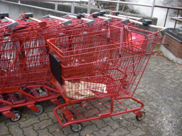 Grcocery Shopping Cart