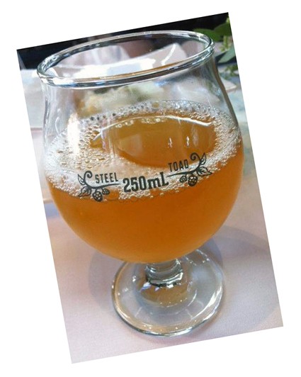 Glass of Beer - Malt Fermentation