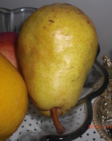 Pear - Fruits