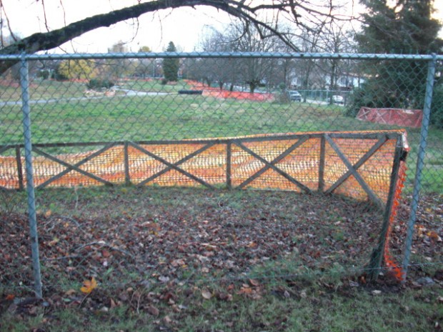 Fencing Boundary - Fences