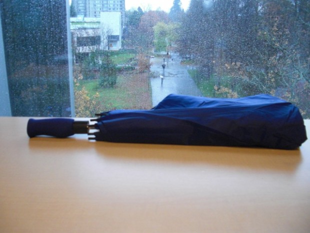 Black Foldable Umbrella - Raingear